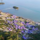 신안PC방 이미지