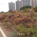 산울림로 이미지