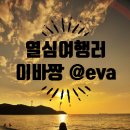 디엠지스테이