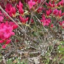 삼송로 205번길 이미지