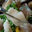 주)씨랜드 Daum카페