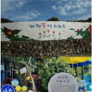 2026년 4월23일(목) 제 594차 여수 하화도 꽃섬길 트레킹 - BAC 섬&amp;산100 이미지