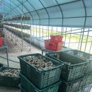 준형농장 이미지