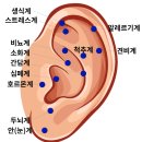귀 건강학(이혈테라피) | 대구 귀마사지 730스킨, 뷰티 이혈테라피 이색 체험 후기