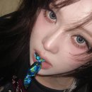 중흥S클래스(2043) 이미지