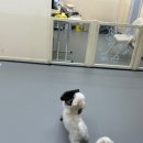 요리조리유치원 이미지