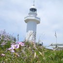 제주 서귀포 마라도(馬羅島, Marado) 이미지