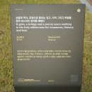 보물과역사,운명으로 이미지