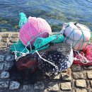 겨울바다 이미지