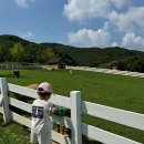 농도원목장 이미지