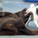 개인공감 이미지