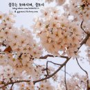 황금베이커리