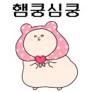 네스토(NESTO) 이미지