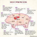 이팔상회 이미지