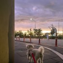 인천아시아드경기장 이미지