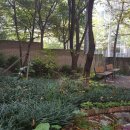 초안산숲속작은도서관 이미지