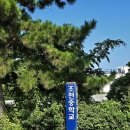 샌딩] 제주특별자치도 제주시 조천읍 조천중 ㅣ 마루샌딩/체육관마루샌딩/각종라인마킹 다녀온 후기 :)
