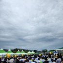 보성녹차마라톤 5km 완주 후기(보성마라톤)