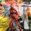 피그로드 이미지