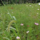 종합운동장역 이미지