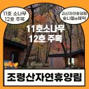[충북괴산] 조령산자연휴양림 &lt;11호소나무&gt;&lt;12호주목&gt;/적정인원4인준수/조령산자연휴양림숲속의집11호와...