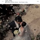 (주)에이퍼스트테크놀러지 | 아이폰스냅 오제스냅 계약 후기 (노블발렌티 삼성 / 빈티지 감성)