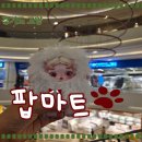 나이스마트 | 스타필드 고양 팝마트 재고상황과 나를찾아봐 스컬판다 후기