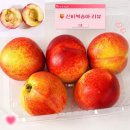 신비네일 - 성북구 | 🍑달콤한 향의 여름 제철 신비복숭아 내돈내산 솔직후기ㅣ맛, 효능, 후숙, 먹는법, 보관법 총정리