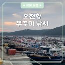 마린보이호 | [보령] 오천항 쭈꾸미 낚시 후기 | 선상 배낚시 예약하는 법 | 준비물(에기, 봉돌) | 9월 금어기 해제