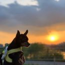 아현종로약국 이미지