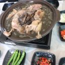 청산오리 이미지