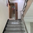 달빛 햄스터리 | [내돈] 인천 햄스터 분양, 계양 작은숲! 골든햄스터 입양후기 및 일상