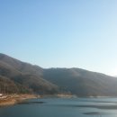 팔야4리 이미지
