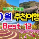 10월 가볼만한곳, 놓쳐서는 안될 가을꽃축제, 10월 국내추천여행지 베스트, 핑크뮬리 명소, 단풍명소, 억새축제, 은행나무단풍, 가을꽃 이미지