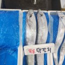 강동수산 티스토리
