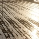 애플골프존 이미지