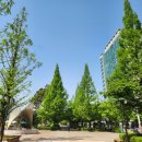 꽃동산어린이공원-1 이미지