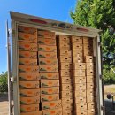 산정농장 | 제주약선 귤농장 조생귤 놀라운 고당도 브릭스