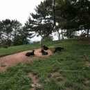 상아농장 이미지