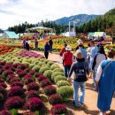 용대관광지2 이미지