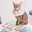 네이츄리