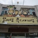 말이랑흑도새기랑 이미지