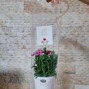 동탄산단6길 이미지