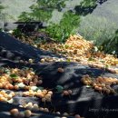 부원농장 이미지