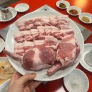 홍지 이미지