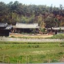 현내리 도원정사 이미지