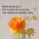 행복한하루 이미지