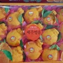 훈이청과 이미지