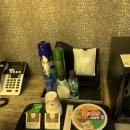 바바라무인텔 이미지