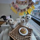 몽꾸르펫트하우스 이미지